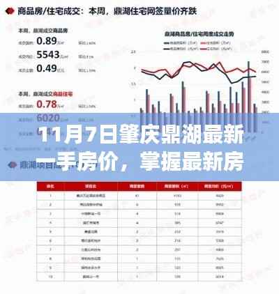 肇庆鼎湖最新房价资讯,掌握一手房价攻略指南(11月7日)