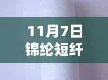 11月7日锦纶短纤前沿报价,智慧纤维科技体验的新纪元