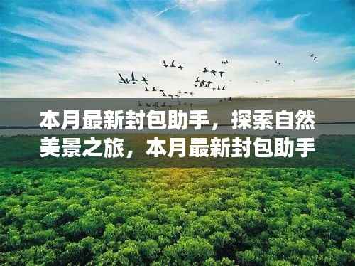 本月最新封包助手，探索自然美景之旅，带你远离尘嚣，寻找内心宁静与喜悦的旅程