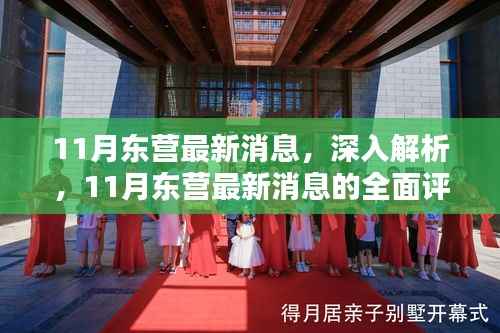 11月东营最新动态,全面解析与评测