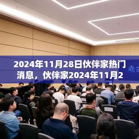 伙伴家独家揭秘,2024年11月28日热门消息大揭秘