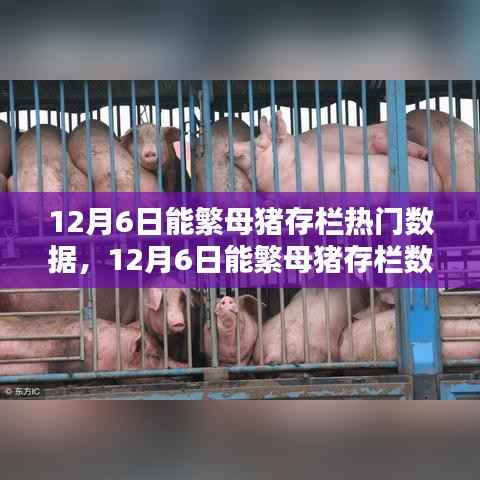 富贵逼人来 第4页