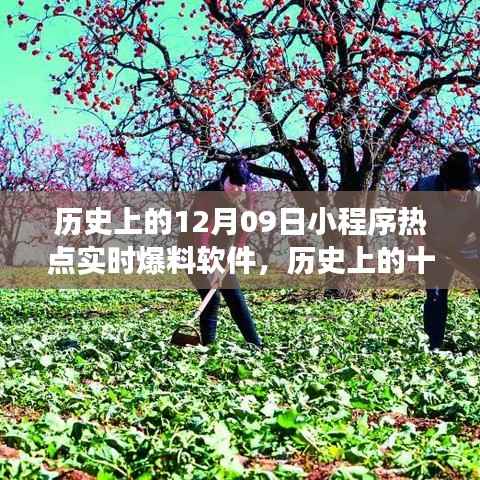 历史上的十二月九日,小程序热点与自然美景的双重盛宴,启程心灵之旅