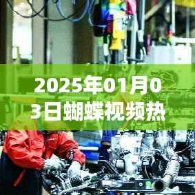 『蝴蝶视频热门动态 2025年1月3日』