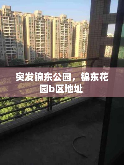 突发锦东公园，锦东花园b区地址 