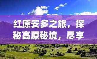 红原安多之旅,探秘高原秘境,尽享独特风情旅游攻略