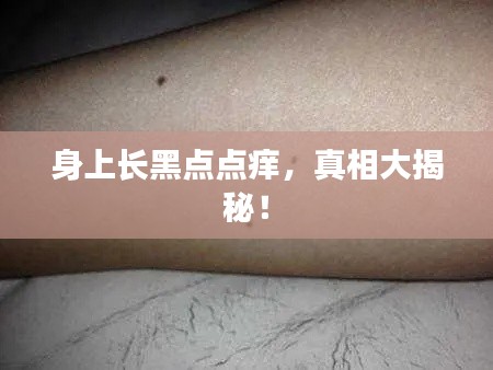 民贵君轻 第3页