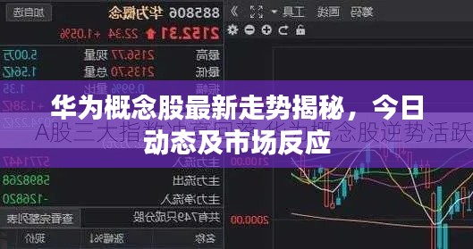 华为概念股最新走势揭秘,今日动态及市场反应
