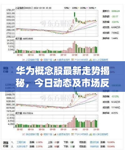华为概念股最新走势揭秘,今日动态及市场反应